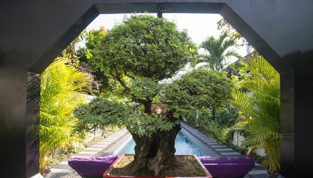 Bonsai Villas Семіньяк Номер фото